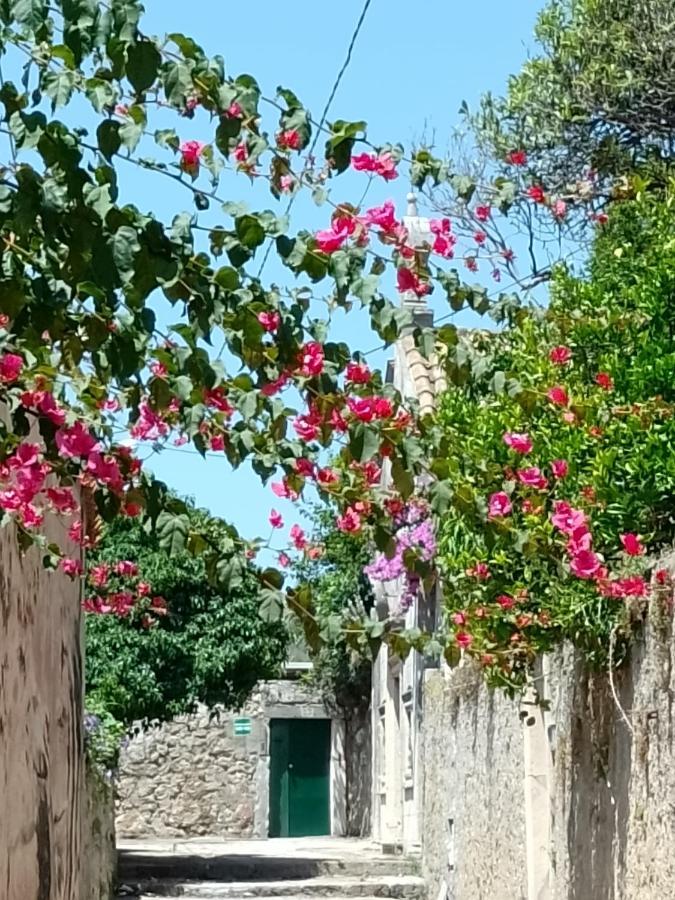 Seaview Dubrovnik Old Town Apartment Bagian luar foto